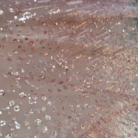 Mac Duggal 20392 Embellished Butterfly Fit size 2 gown Taupe NWT - Picture 8 of 9